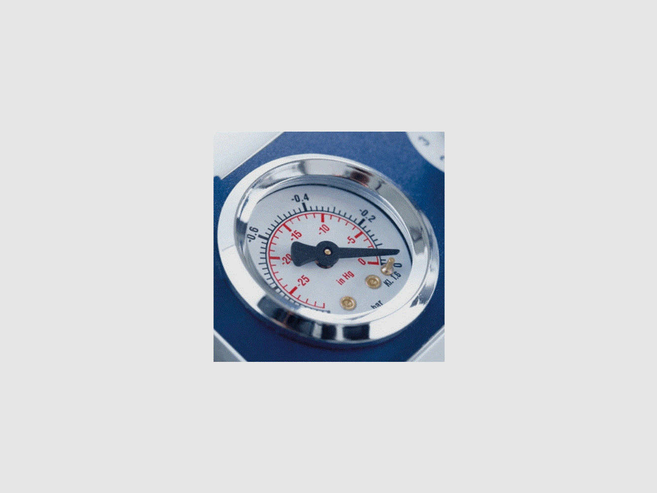 Set Vakuumiergerät V.300 Premium mit Vakuumbeutel