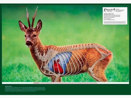 5etta Direct Hit Deer 4-Pack avec bouchons de protection