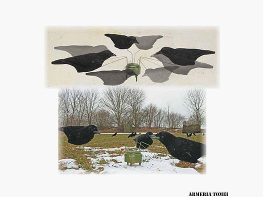 GIOSTRA – TRIPLE PLAY CROW