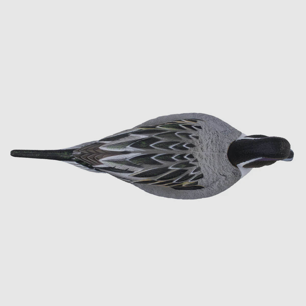 LIVE Pintail Floaters – 6er Pack, Bild 8 von 9
