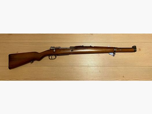 Mauser M 1909