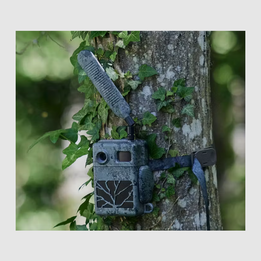 Zeiss Secacam 7 Caméra de chasse, image 2 sur 9