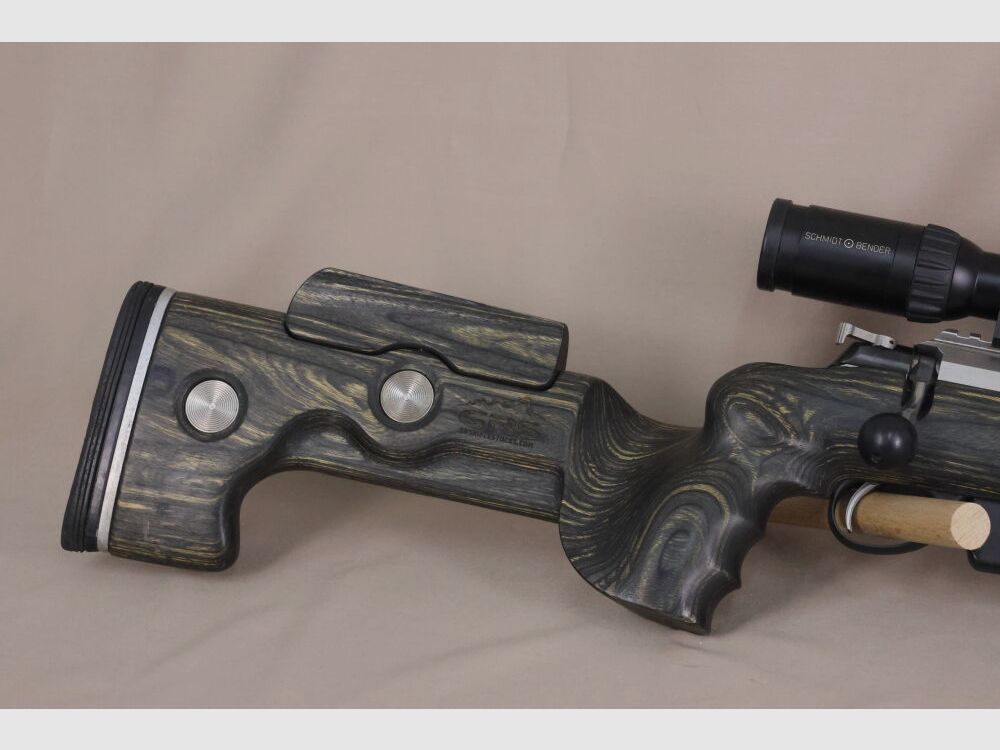 Tikka T3X // avec silencieux Hausken et crosse GRS