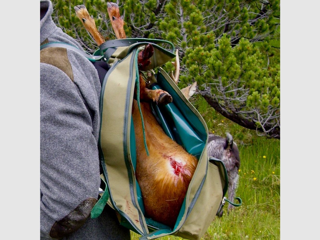 Sac à Dos de Chasse Spécial en Lin | 40L - Modèle "Atlas", Équipement de Base + 1 Poche pour Lunette, Vert, image 8 sur 10