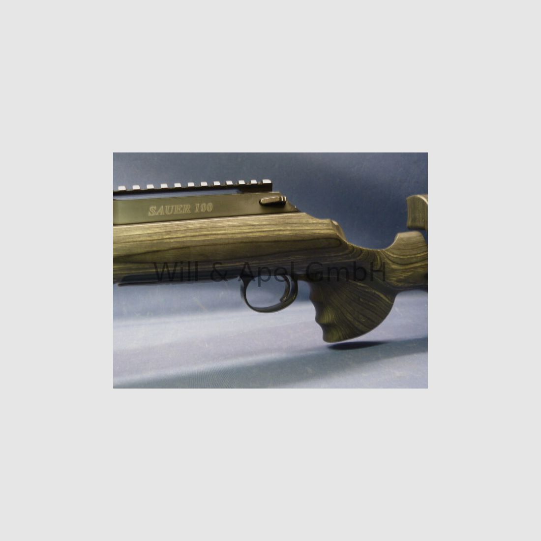 Sauer & Sohn Sauer 100