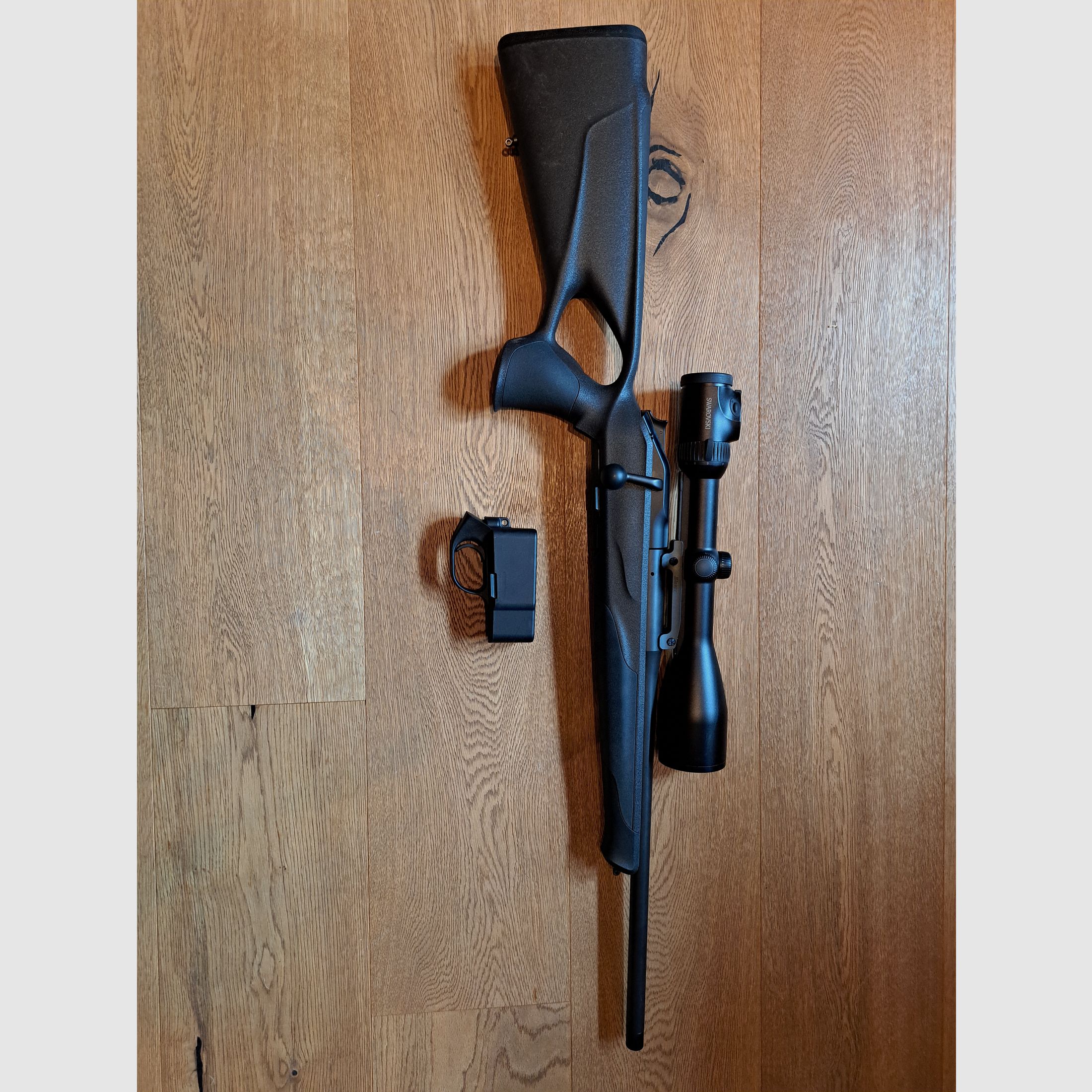 Blaser R8 professional success. 308 Win.