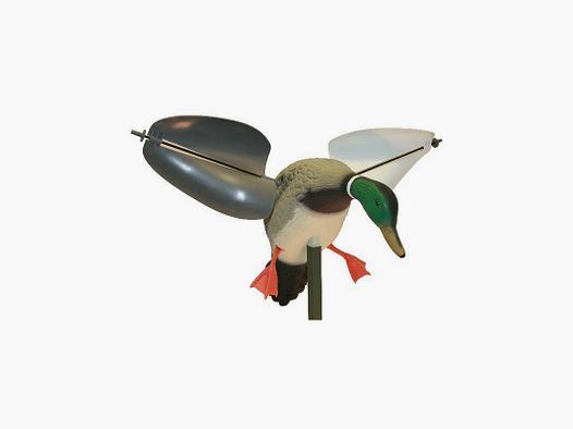 Mojo Wind Germano maschio