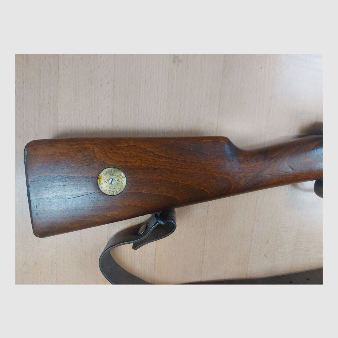 Carl Gustav M 94