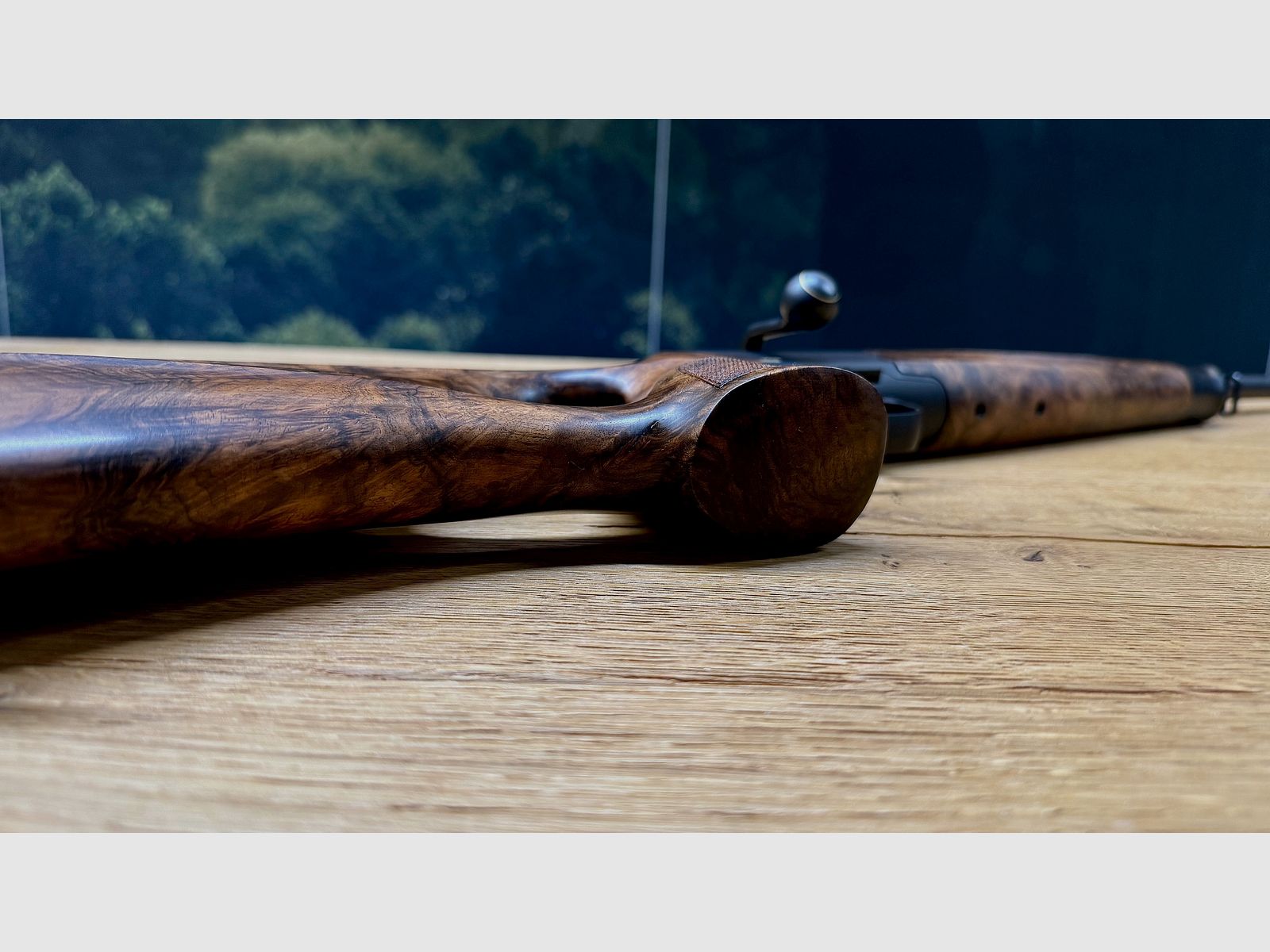 Blaser R8 mit traumhaftem Zubehör-Lochschaft Holzklasse 8-9, goldenes R8 Logo, Kammergriff Selours, gekürzter Lauf, M15x1 Gewinde, Standard-Kaliber wählbar