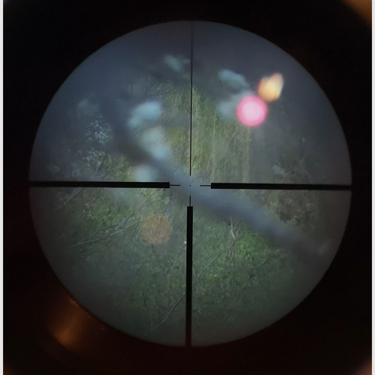 KAPS 8x56 riflescope from Asslar/Wetzlar including original Blaser saddle mount