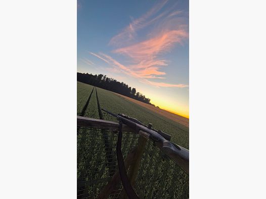 Bergara B14 Wilderness .308 Win | Meopta Optika6 3–18×56 RD | Liemke Luchs 25.1 | Komplettset