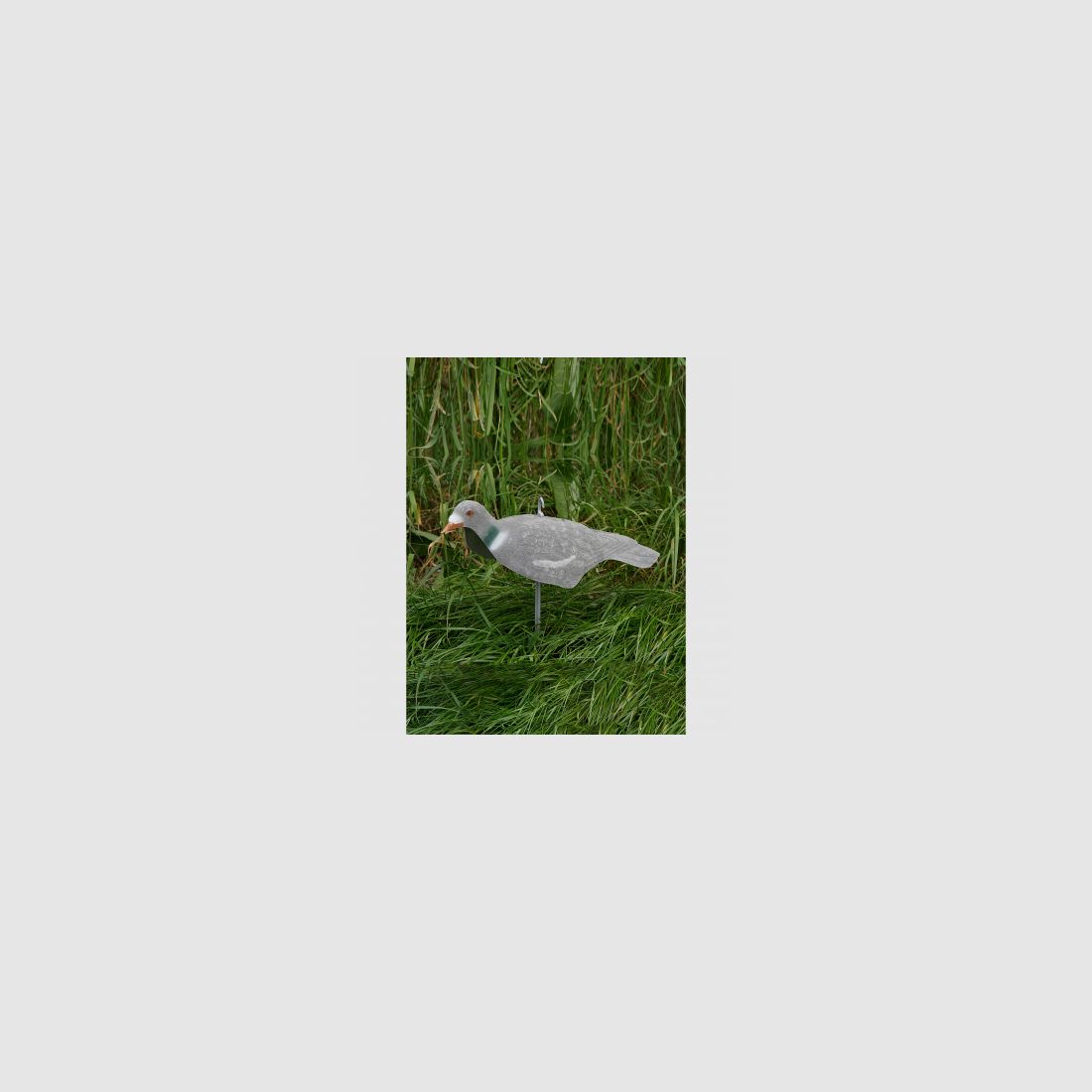 il Lago Passion Ringeltaube Halbschale (beflockt) |