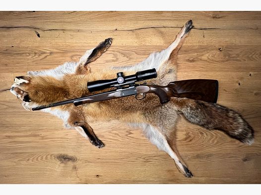 Merkel K5 .308 con montaje sin visor
