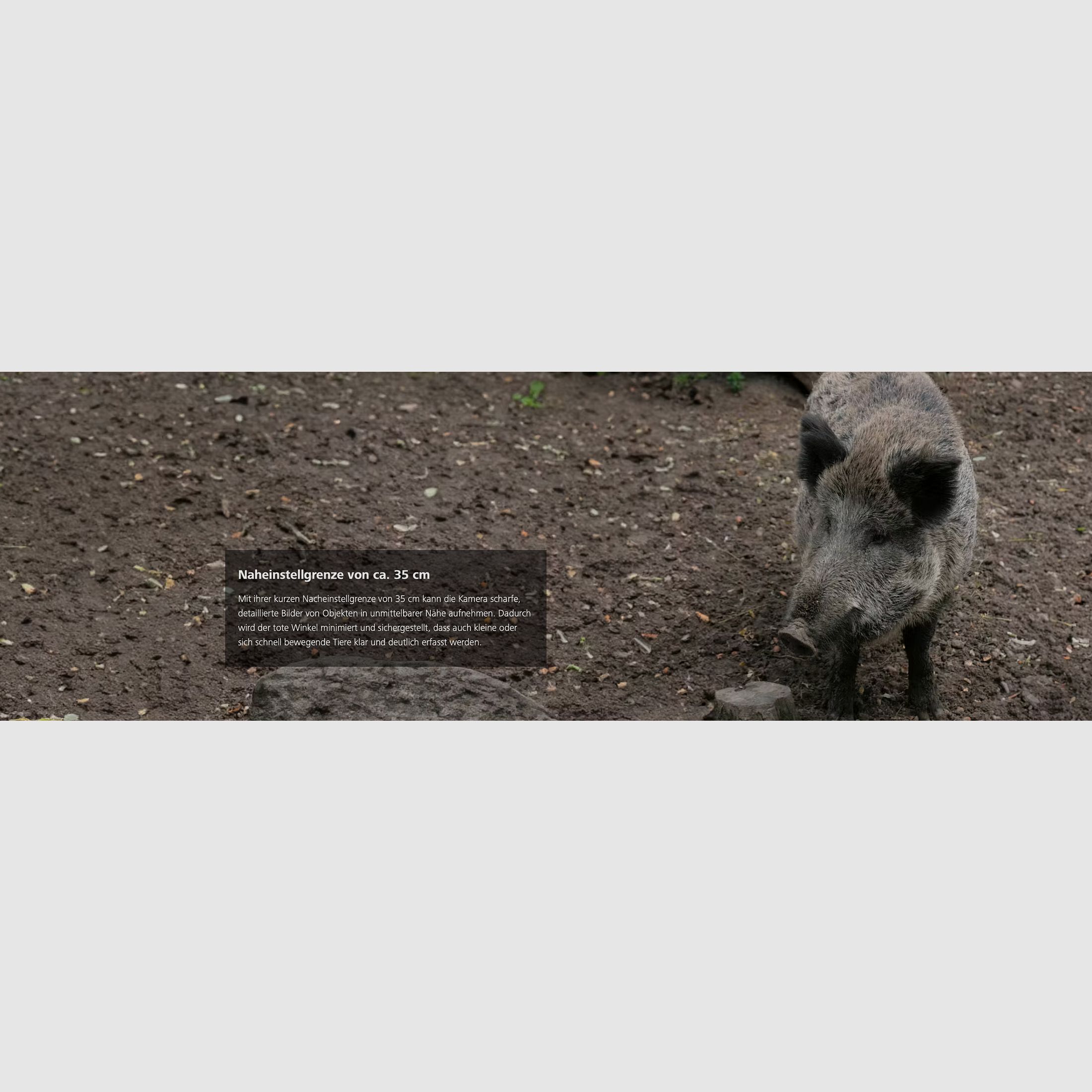 ZEISS Secacam 5 Telecamera per fauna selvatica grandangolare 100 gradi di campo visivo 25m di rilevamento