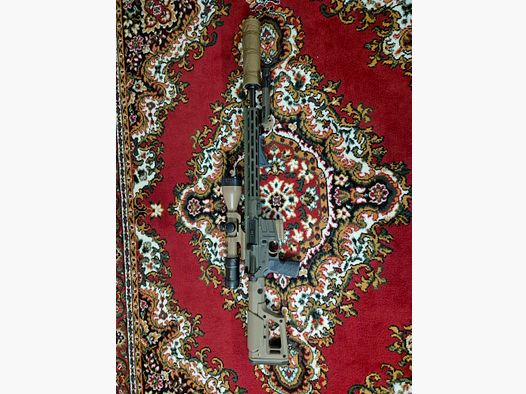 AR 15 Savage silenciador