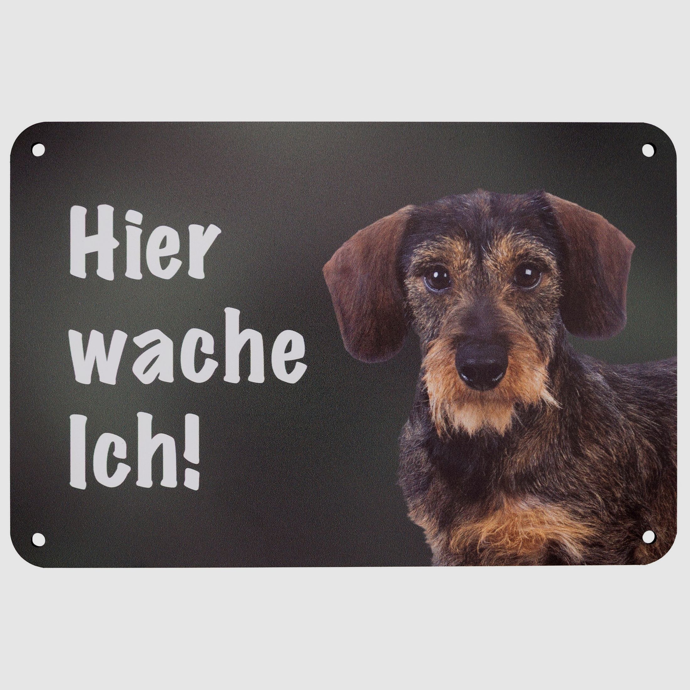 Wilde Hilde Original Schild Hier wache Ich