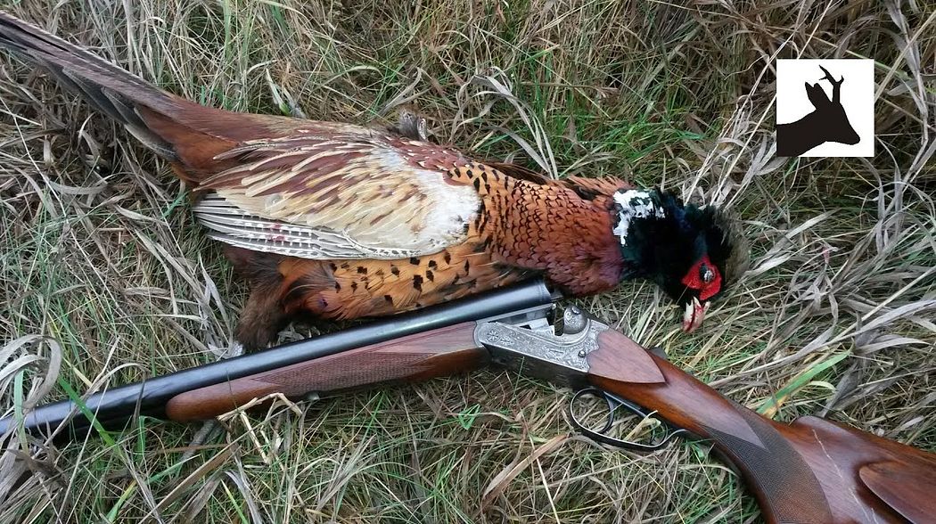Driven hares and walked up pheasants - Polowanie Wigilijne