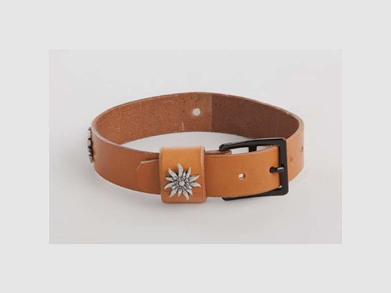 Collar para perro, cinturón original del ejército suizo (nuevo) con adornos de Edelweiss, imagen 1 de 5