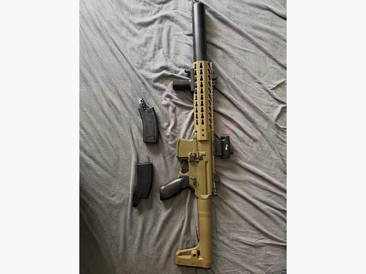 Sig Sauer MCX met Red DOT