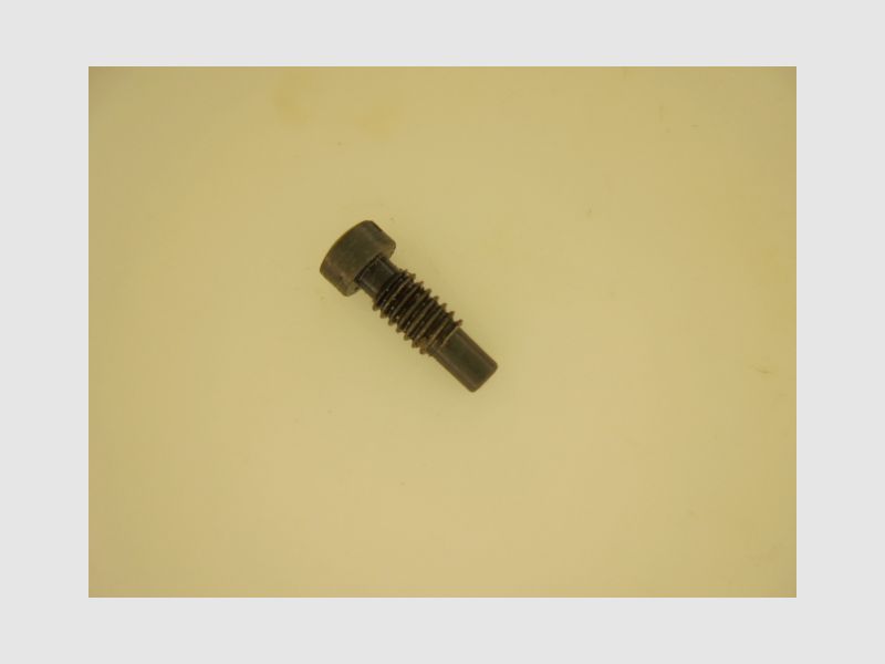VITE Molla CANE BRONZO TIPO 2 SMITH&WESSON, immagine 1 di 4
