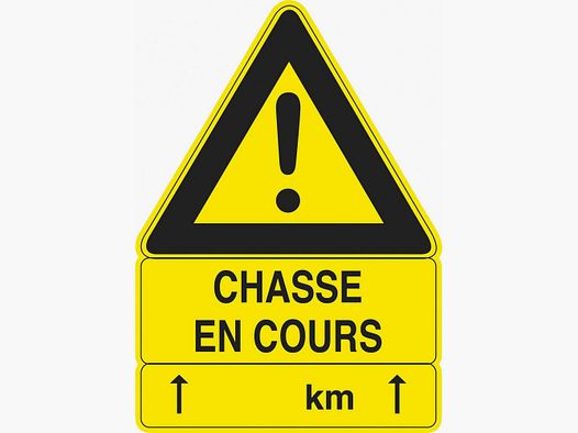 Chasse En Cours