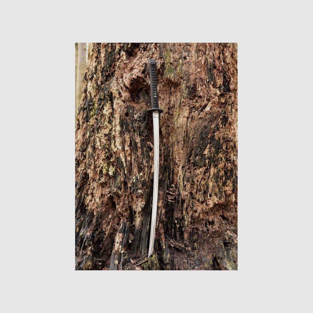 Dragon King Night Owl Katana Schwert