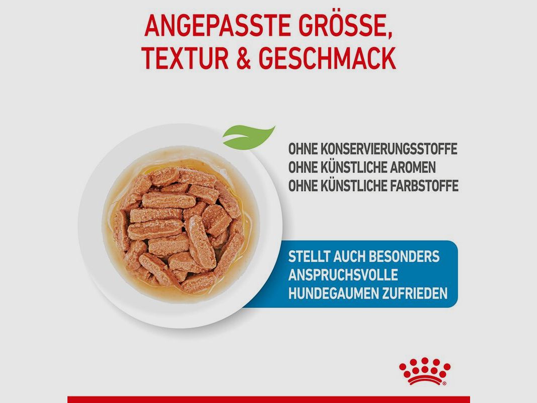 ROYAL CANIN Mittelgroße Hunde Nassfutter Welpen bis zum 12. Monat 10x140 g