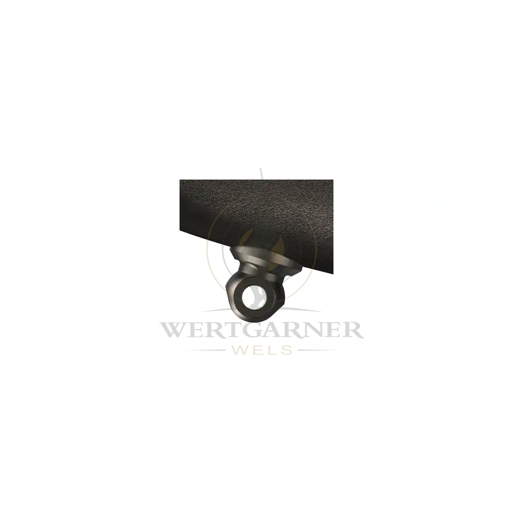 Blaser R8 Professional 2.0 negro marrón, cal. 30-06, imagen 5 de 5