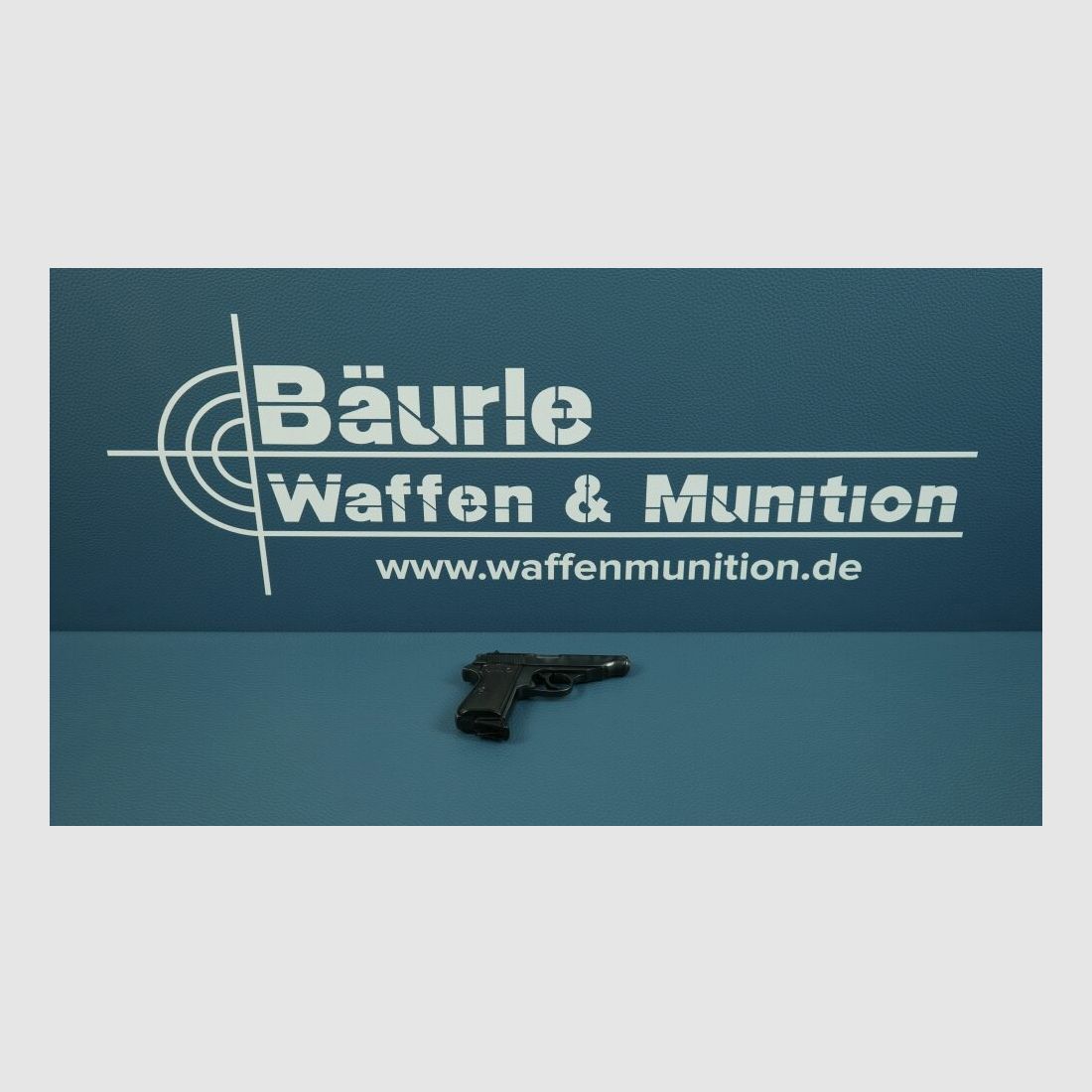 Walther PP .22lr