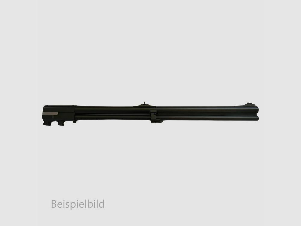 Blaser WL B95/97 Bockbüchse