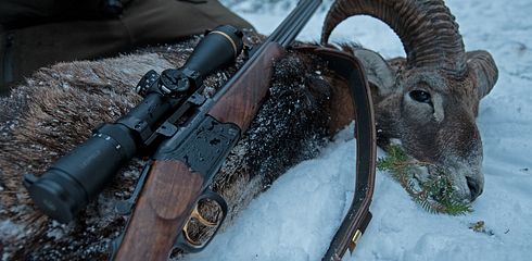 Bergstutzen - eine vielseitige Waffe für anspruchsvolle Jäger