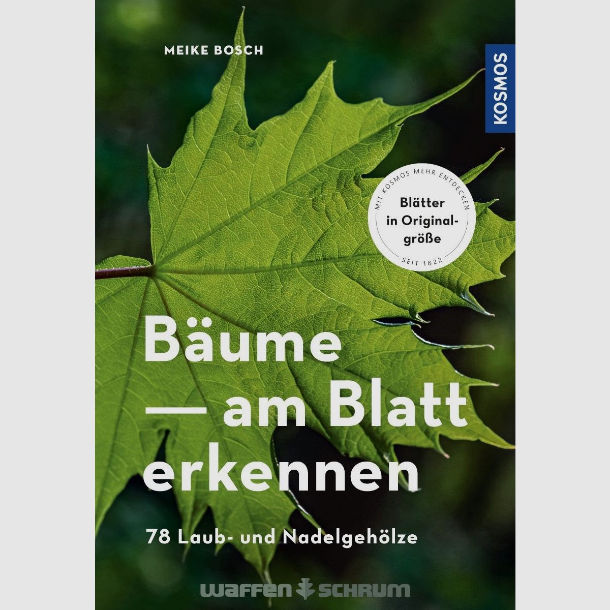 Kosmos Bäume am Blatt erkennen Meike Bosch