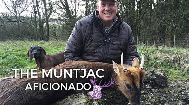 THE MUNTJAC AFICIONADO