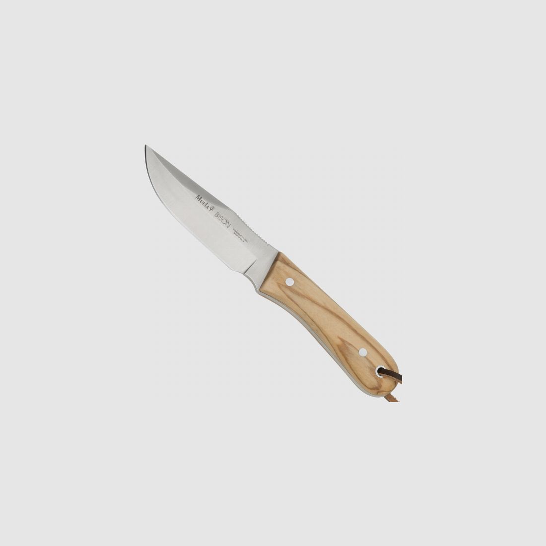 Muela Knife Bison Olive Wood, image 1 of 2