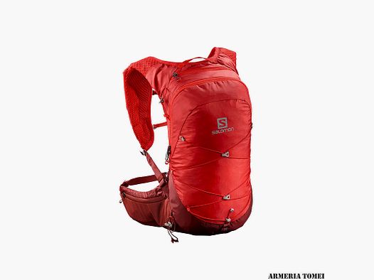 SALOMON – PLECAK – XT 15 Goji Berry / Madder Brown