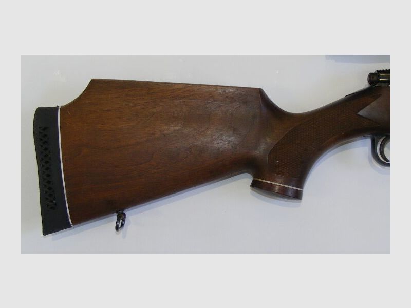 Lakelander Mod 389