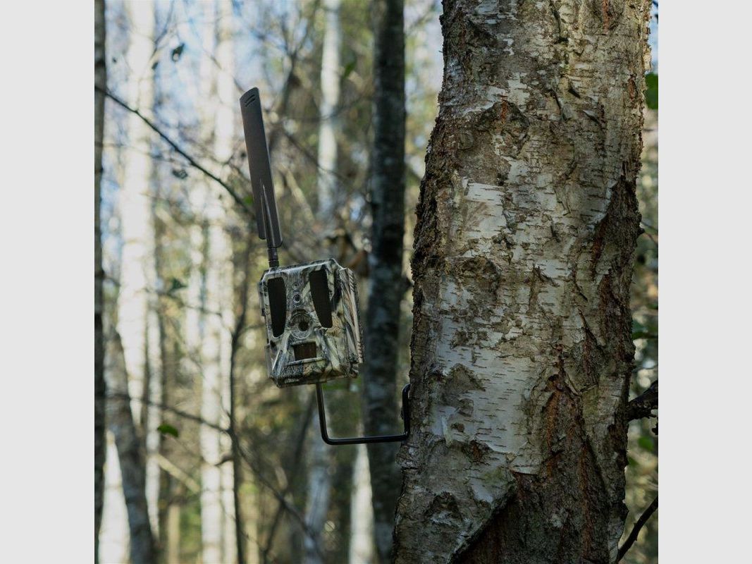 Dörr Baumschraube für Überwachungskameras