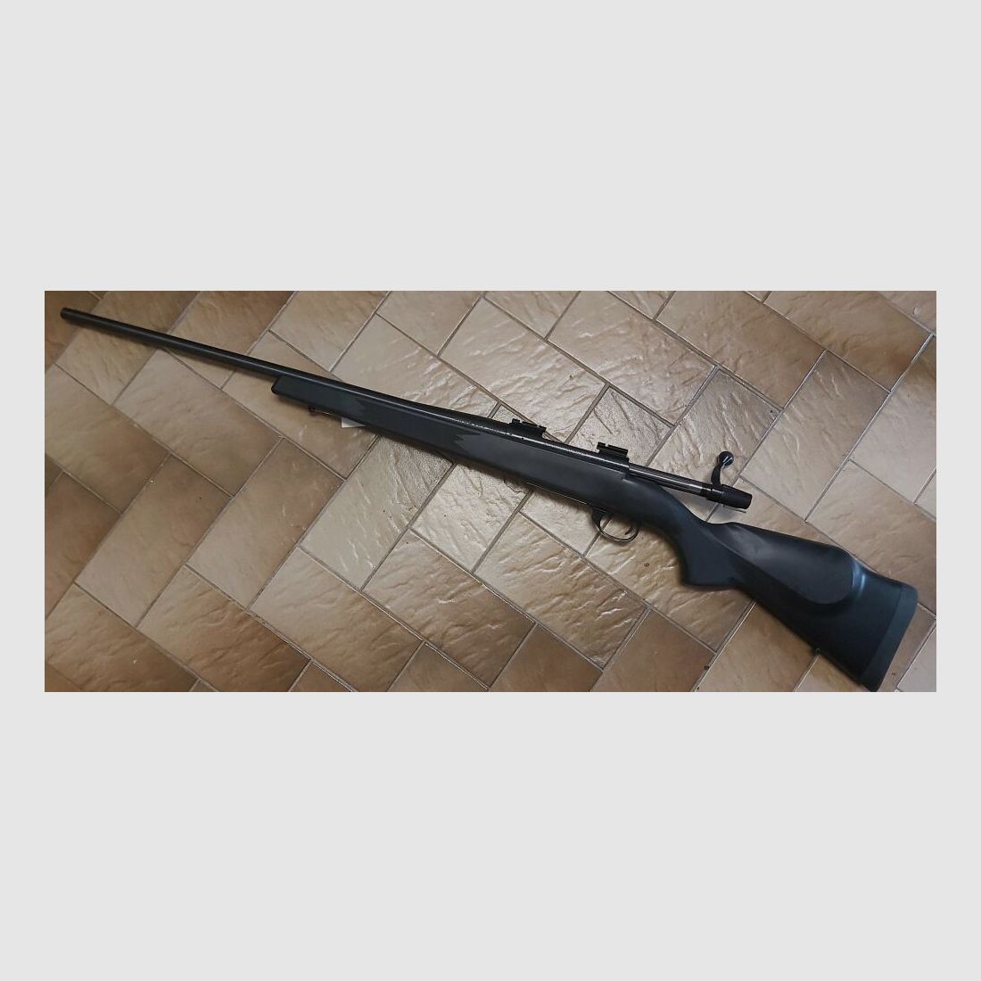 Weatherby Vanguard