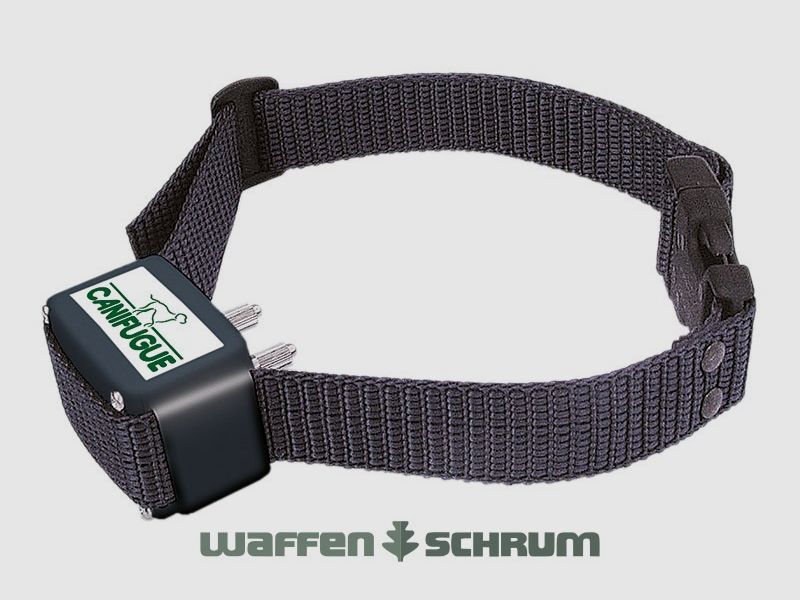 NUM'axes Canifugue Classic / Unsichtbares Zaunsystem