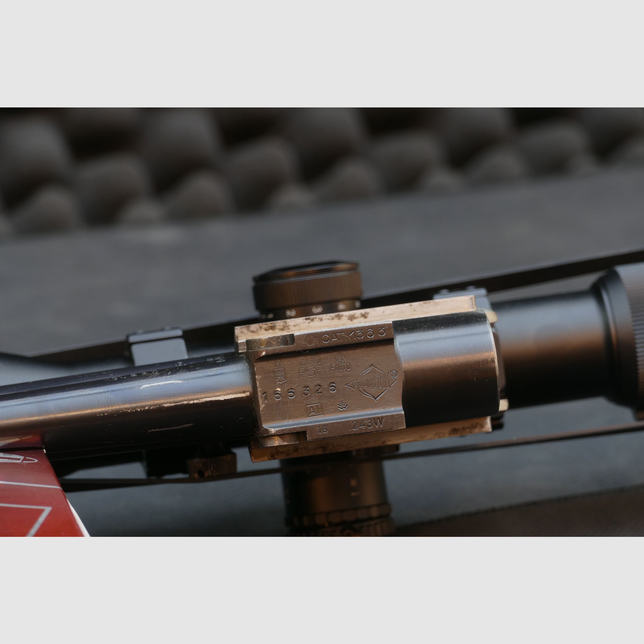 Antonio Zoli BBF in .243Win und 16/70