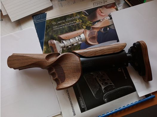 Ergosin, conçu par W. Nill, Flintenschaft pour Blaser F3