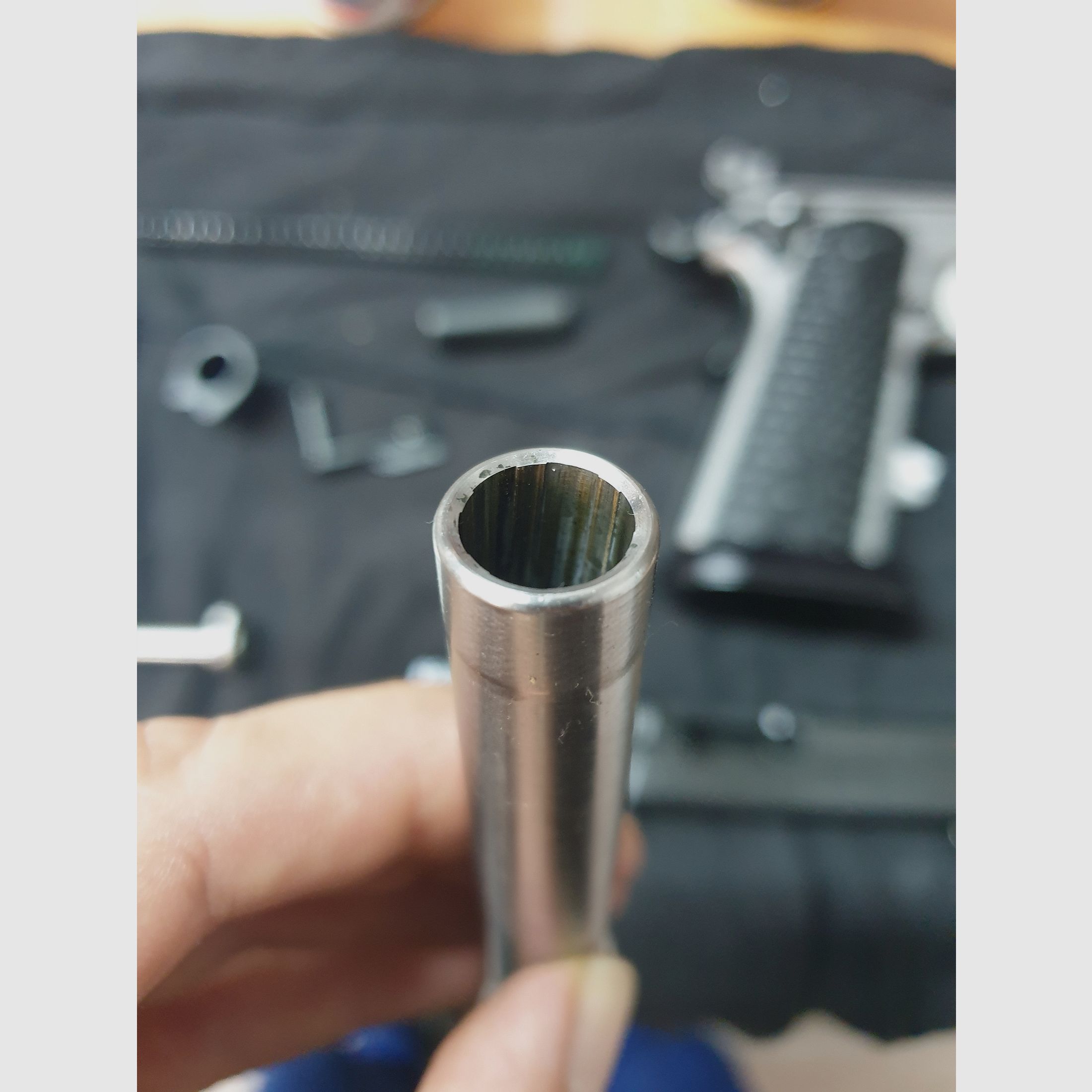 Sig Sauer Max Michel