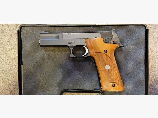 Smith & Wesson 422