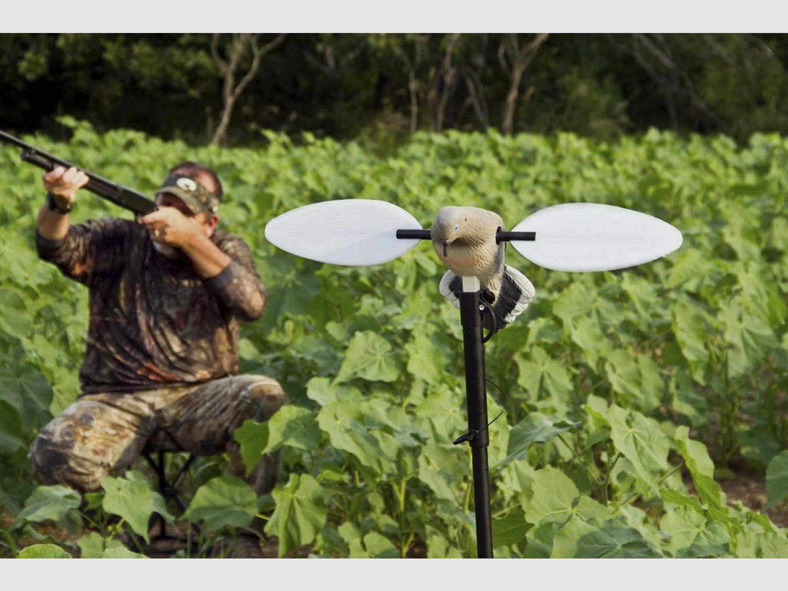 Mojo Outdoors drehbare Taubenlockvogel, Bild 7 von 7