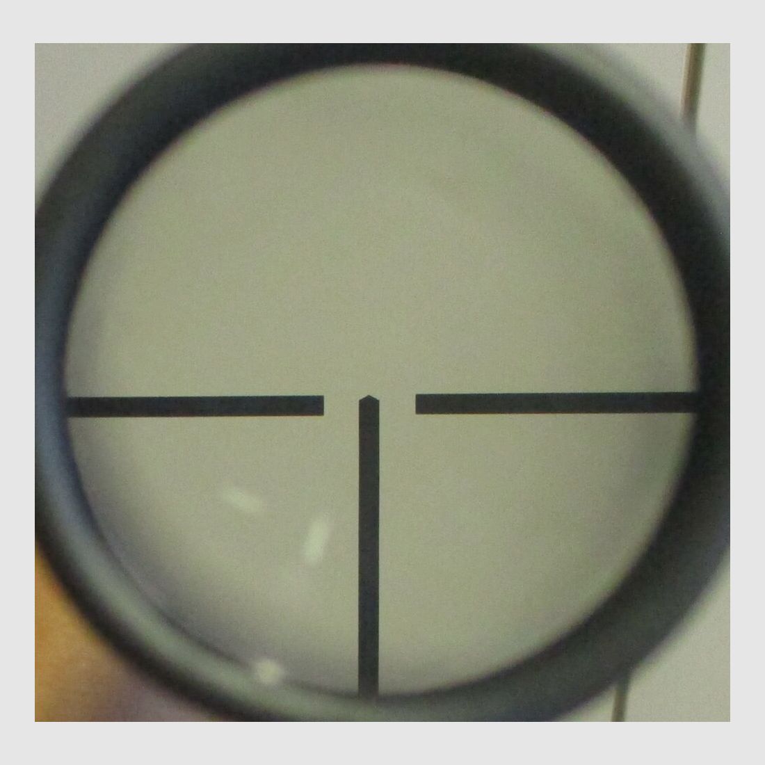 Zeiss Diatal-Z