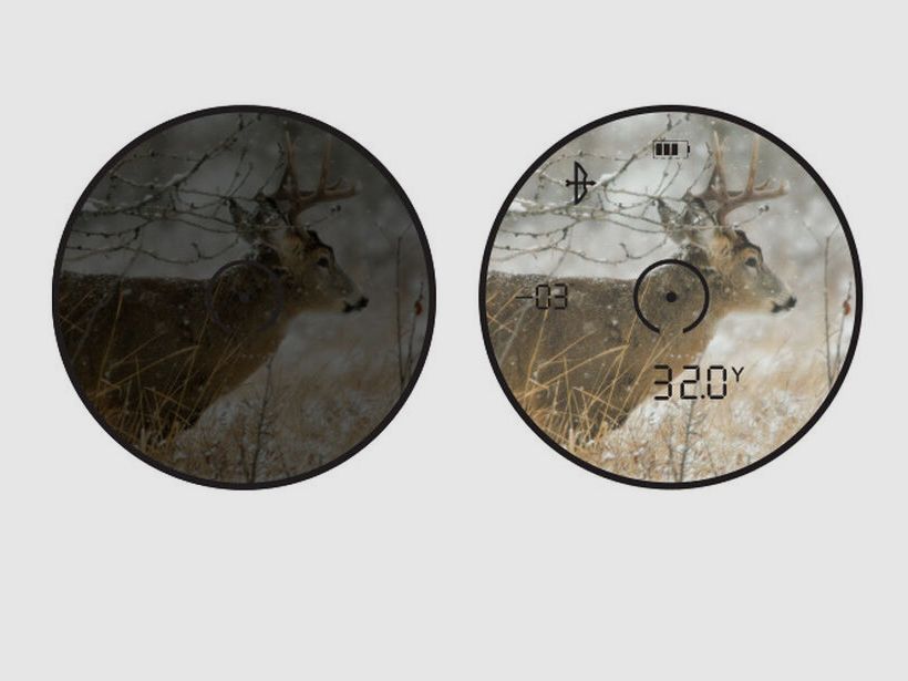 Bushnell Prime Combo Kit, Prime 10x42 Fernglas, Prime 1300 Laser Entfernungsmesser