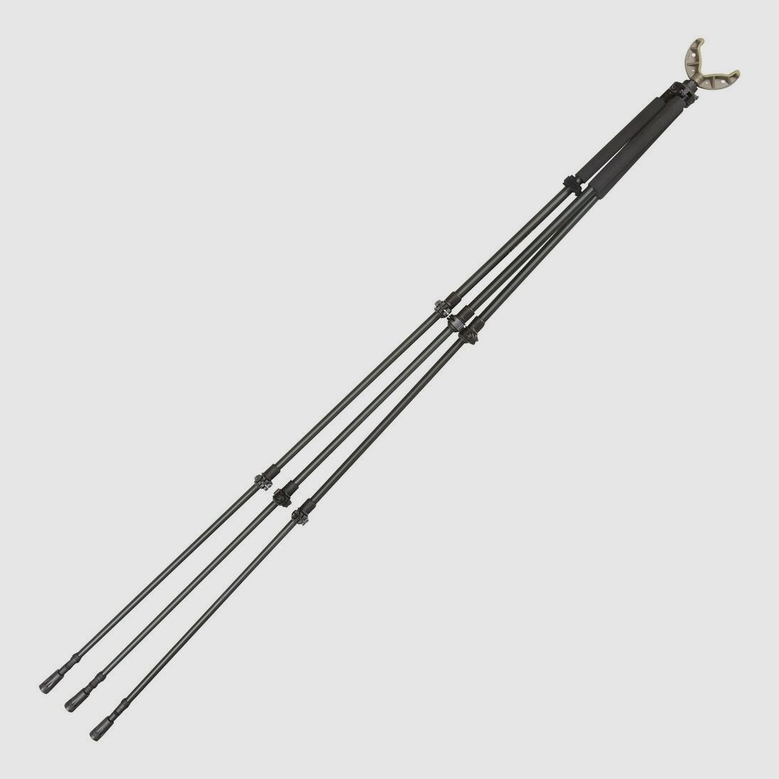 Allen Zielstock Axial