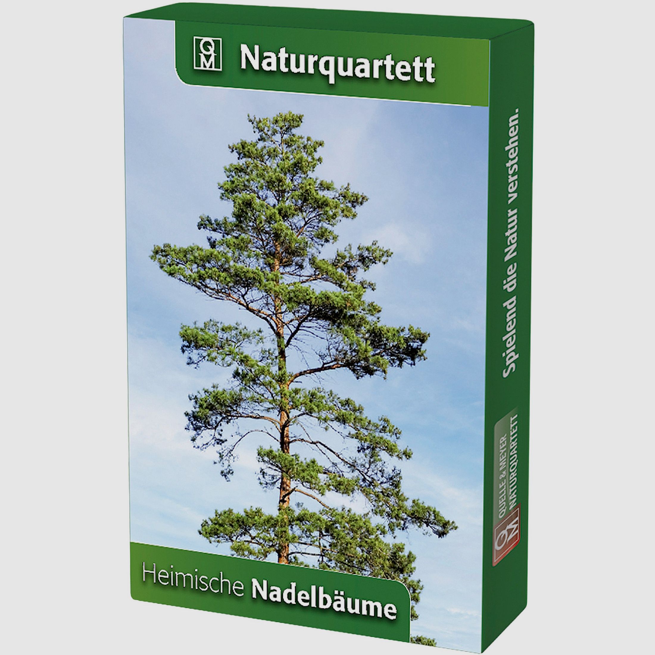 Naturquartett Heimische Nadelbume