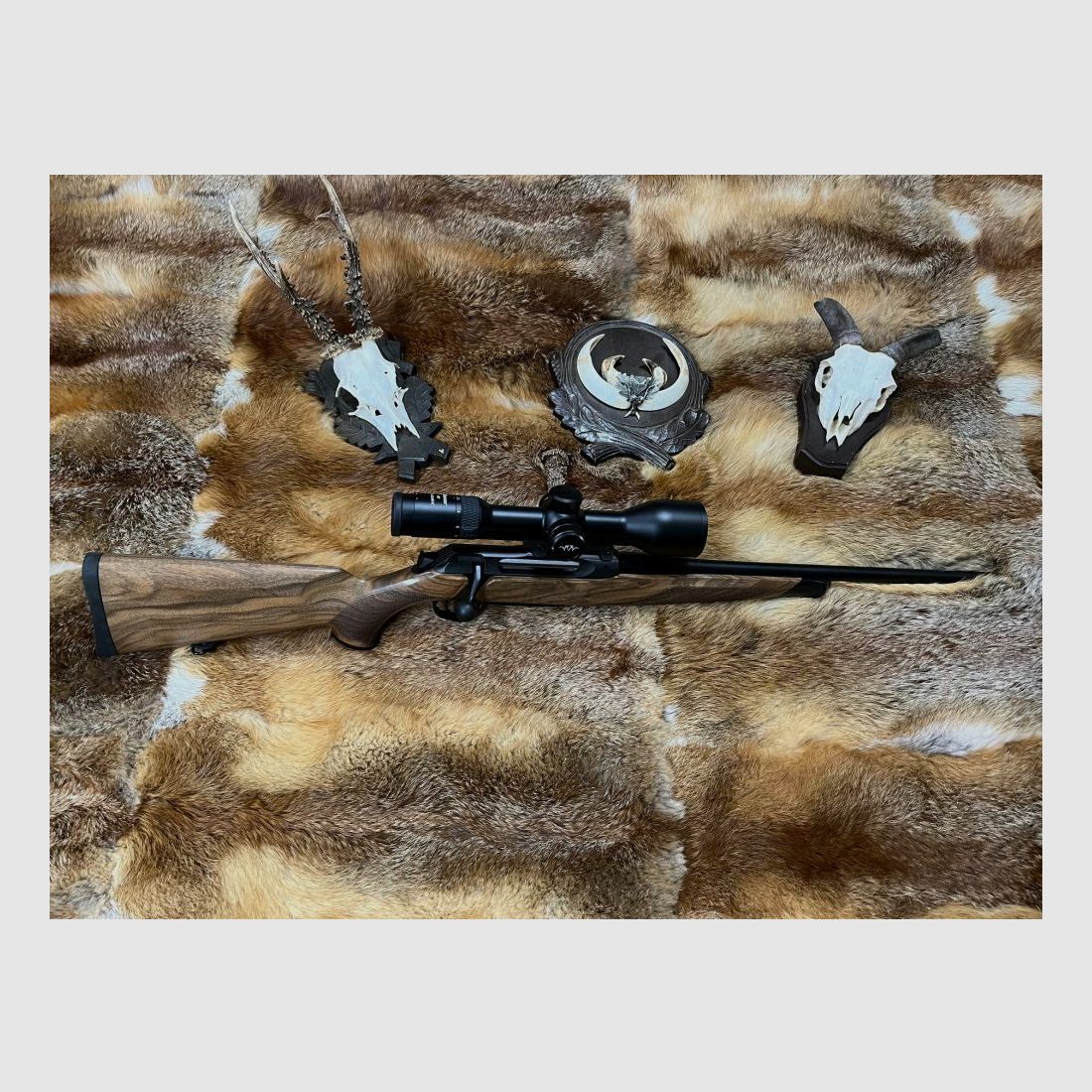 Sauer & Sohn Mod. 505