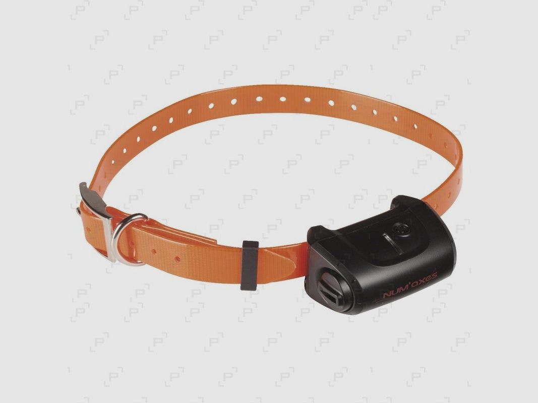 Halsband zur Ausbildung NUM'AXES CANICOM 5.800 für Jagdhunde, Bild 2 von 2